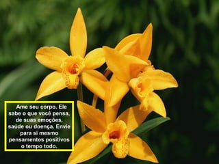 Ame seu corpo. Ele 
sabe o que você pensa, 
de suas emoções, 
saúde ou doença. Envie 
para si mesmo 
pensamentos positivos 
o tempo todo. 
 