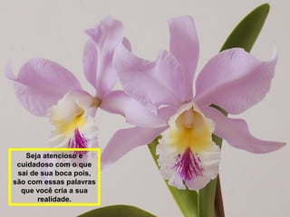 Seja atencioso e 
cuidadoso com o que 
sai de sua boca pois, 
são com essas palavras 
que você cria a sua 
realidade. 
 