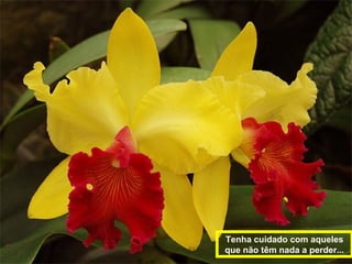 Tenha cuidado com aqueles 
que não têm nada a perder... 
 