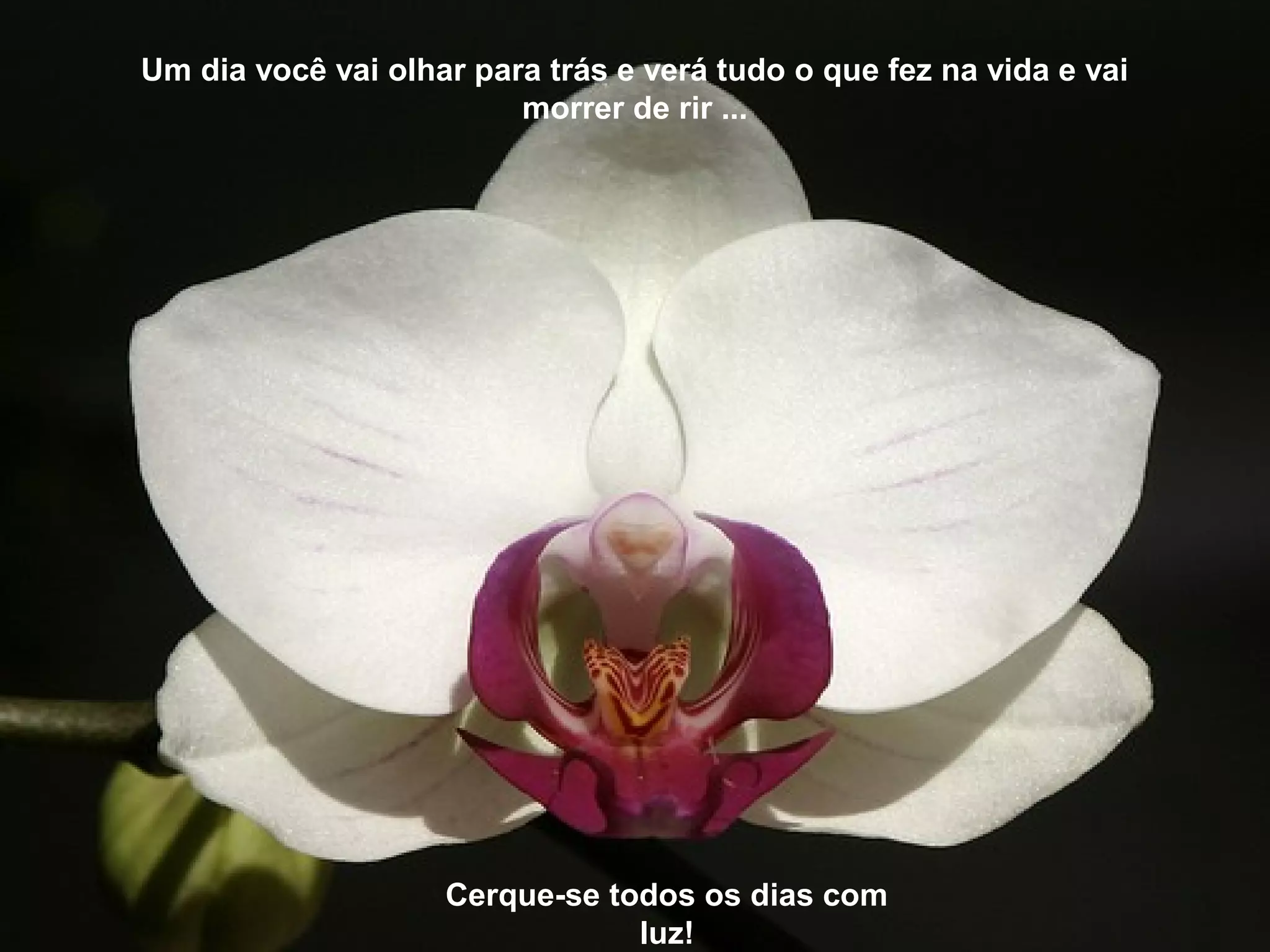 Um dia você vai olhar para trás e verá tudo o que fez na vida e vai
morrer de rir ...
Cerque-se todos os dias com
luz!
 