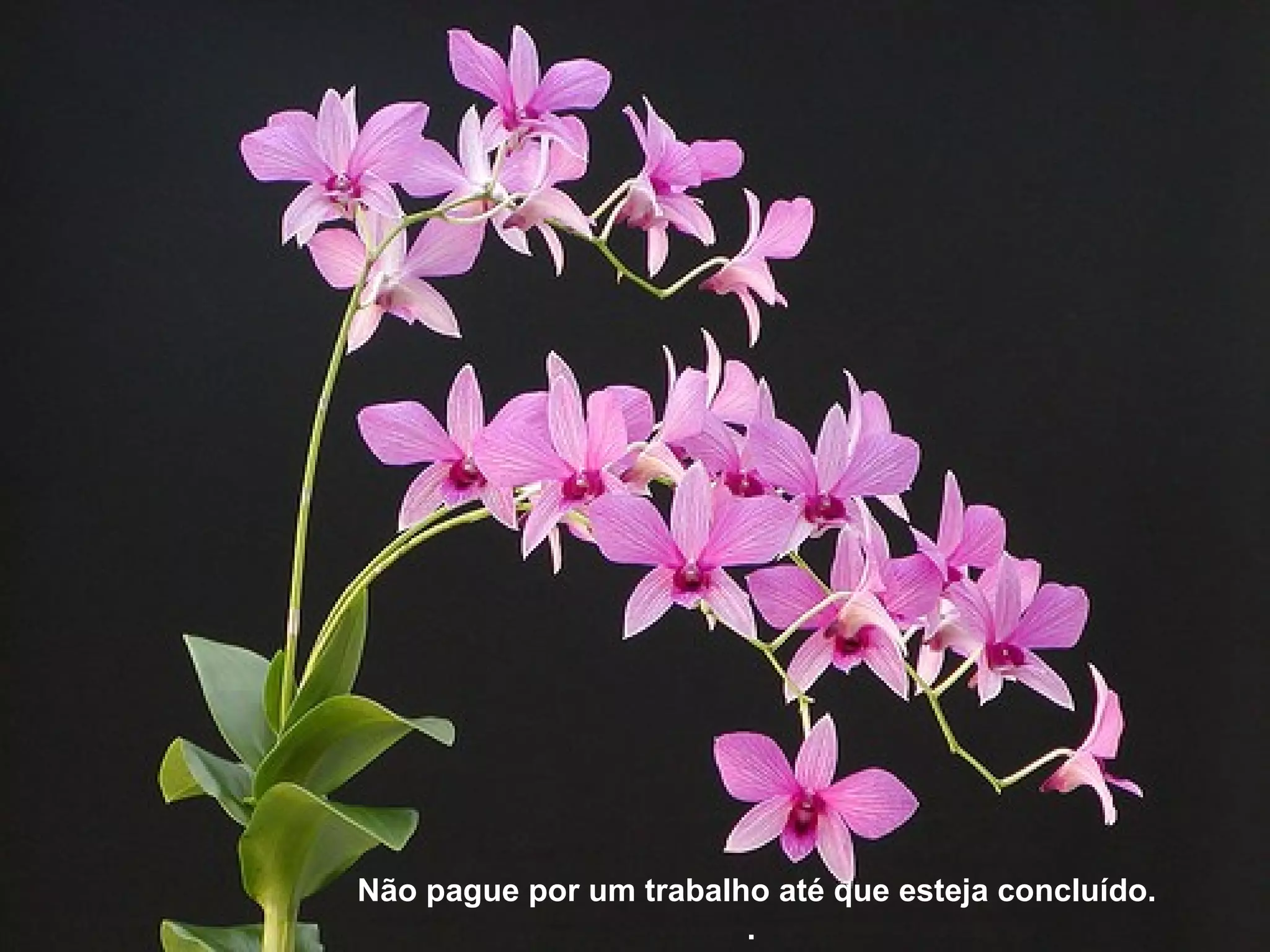 Não pague por um trabalho até que esteja concluído.
.
 