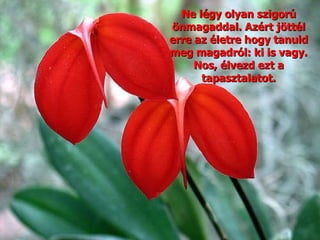 Ne légy olyan szigorú önmagaddal. Azért jöttél erre az életre hogy tanuld meg magadról: ki is vagy. Nos, élvezd ezt a tapasztalatot. 