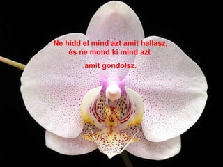 Ne hidd el mind azt amit hallasz, és ne mond ki mind azt  amit gondolsz. 