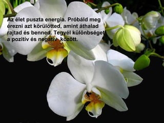 Az élet puszta energia. Próbáld meg érezni azt körülötted, amint áthalad rajtad és benned. Tegyél különbséget a pozitív és negatív  között.  