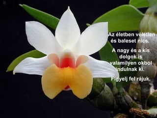 Az életben véletlen és baleset nics.  A nagy és a kis dolgok is valamilyen okból indulnak ki.  Figyelj fel rájuk. 