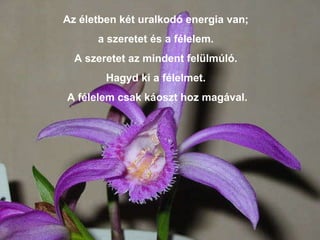 Az életben két uralkodó energia van;  a szeretet és a félelem.  A szeretet az mindent felülmúló.  Hagyd ki a félelmet.  A félelem csak káoszt hoz magával. 