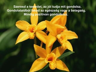 Szeresd a testedet, az jól tudja mit gondolsz. Gondolataidból fakad az egészség vagy a betegség. Mindig pozitívan gondolkozz.  