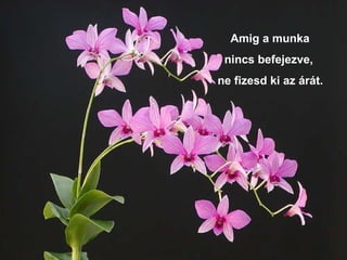 Amig a munka  nincs befejezve,  ne fizesd ki az árát. 