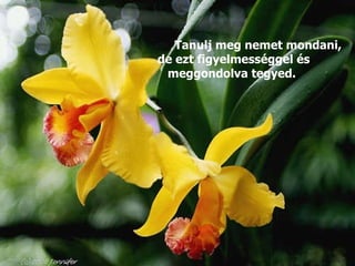 Tanulj meg nemet mondani, de ezt figyelmességgel és meggondolva tegyed.   