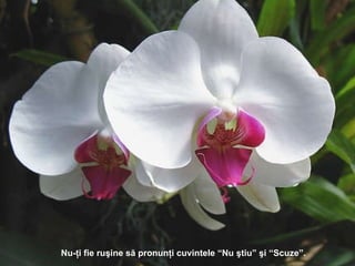 Nu -ţi fie ruşine să pronunţi cuvintele  “N u ştiu ”  şi  “ Scuze ”. 