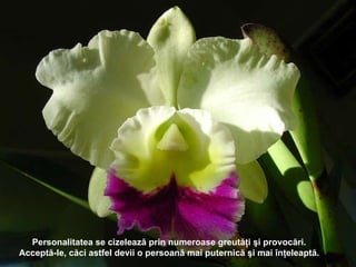 Personalitatea se  ci zelează prin numeroase greutăţi şi provocări .  Acceptă-le ,  căci astfel devii o persoană mai puternică şi mai înţeleaptă . 