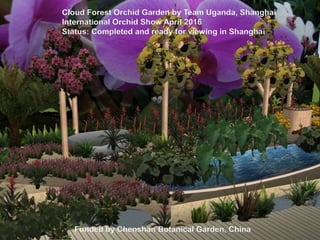 Cloud Forest Orchid Garden by Team Uganda, Shanghai
International Orchid Show April 2016
Status: Completed and ready for viewing in Shanghai
Funded by Chenshan Botanical Garden, China
 