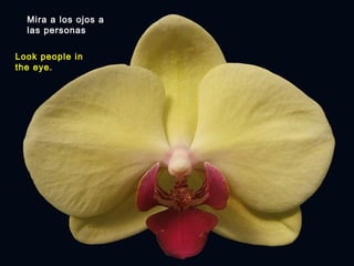 Mira a los ojos a
las personas
Look people in
the eye.
 