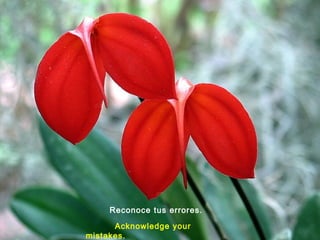 Reconoce tus errores.
Acknowledge your
mistakes.
 