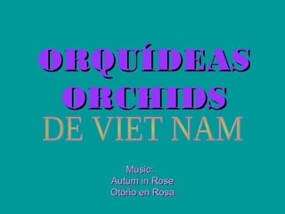 ORQUÍDEASORQUÍDEAS
ORCHIDSORCHIDS
Music:Music:
Autum in RoseAutum in Rose
Otoño en RosaOtoño en Rosa
 