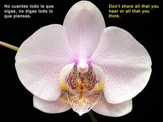 No cuentes todo lo que
oigas, no digas todo lo
que piensas.
Don’t share all that you
hear or all that you
think.
 