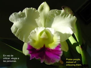 En vez de
criticar, elogia a
las personas.
Praise people,
instead of
criticizing them.
 