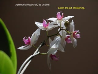 Aprende a escuchar, es un arte.
Learn the art of listening.
 