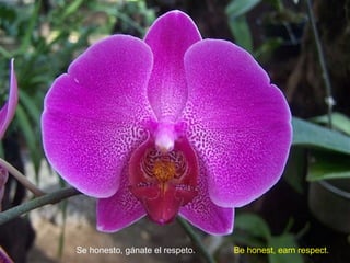 Se honesto, gánate el respeto. Be honest, earn respect.
 