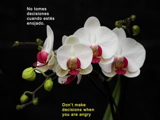 No tomes
decisiones
cuando estés
enojado.
Don’t make
decisions when
you are angry
 