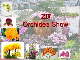 2007 Orchidea Show 
