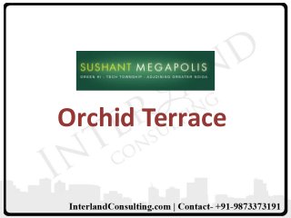 Orchid Terrace

 