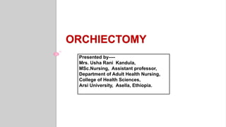 ORCHIECTOMY
Presented by----
Mrs. Usha Rani Kandula,
MSc.Nursing, Assistant professor,
Department of Adult Health Nursing,
College of Health Sciences,
Arsi University, Asella, Ethiopia.
 