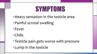 •Heavy sensation in the testicle area
•Painful scrotal swelling
•Fever
•Chills
•Testicle pain gets worse with pressure
•Lump in the testicle
SYMPTOMS
 