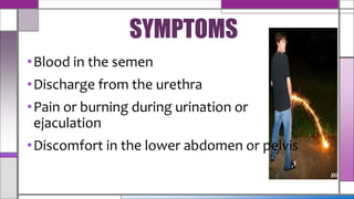 •Blood in the semen
•Discharge from the urethra
•Pain or burning during urination or
ejaculation
•Discomfort in the lower abdomen or pelvis
SYMPTOMS
 