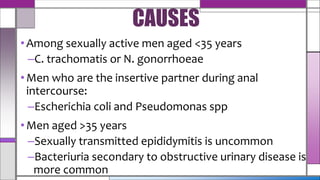 •Among sexually active men aged <35 years
–C. trachomatis or N. gonorrhoeae
•Men who are the insertive partner during anal
intercourse:
–Escherichia coli and Pseudomonas spp
•Men aged >35 years
–Sexually transmitted epididymitis is uncommon
–Bacteriuria secondary to obstructive urinary disease is
more common
CAUSES
 