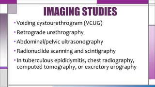 •Voiding cystourethrogram (VCUG)
•Retrograde urethrography
•Abdominal/pelvic ultrasonography
•Radionuclide scanning and scintigraphy
•In tuberculous epididymitis, chest radiography,
computed tomography, or excretory urography
IMAGING STUDIES
 