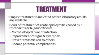 • Empiric treatment is indicated before laboratory results
are available
• Goals of treatment of acute epididymitis caused by C.
trachomatis or N. gonorrhoeae:
–Microbiological cure of infection
–Improvement of signs & symptoms
–Prevent transmission to others
–Reduce potential complications
TREATMENT
 