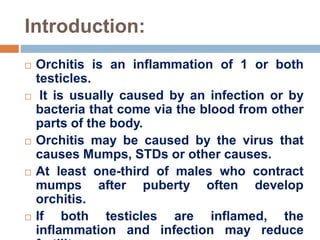 Orchitis