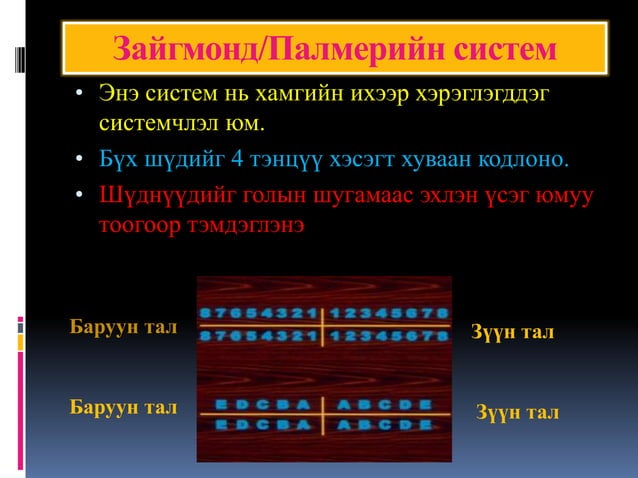 201 Хэсэг анатоми