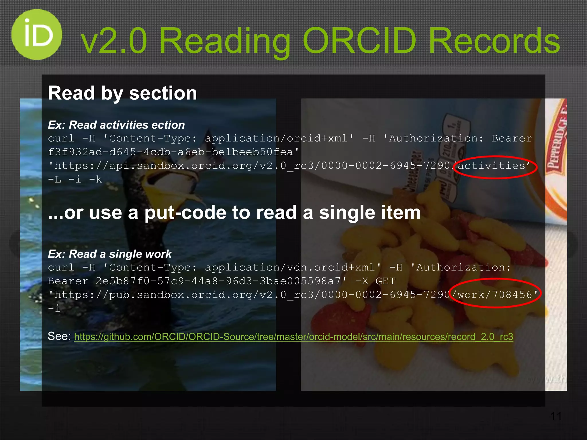 v2.0 Reading ORCID Records
11
Read by section
Ex: Read activities ection
curl -H 'Content-Type: application/orcid+xml' -H 'Authorization: Bearer
f3f932ad-d645-4cdb-a6eb-be1beeb50fea'
'https://api.sandbox.orcid.org/v2.0_rc3/0000-0002-6945-7290/activities’
-L -i -k
...or use a put-code to read a single item
Ex: Read a single work
curl -H 'Content-Type: application/vdn.orcid+xml' -H 'Authorization:
Bearer 2e5b87f0-57c9-44a8-96d3-3bae005598a7' -X GET
'https://pub.sandbox.orcid.org/v2.0_rc3/0000-0002-6945-7290/work/708456'
-i
See: https://github.com/ORCID/ORCID-Source/tree/master/orcid-model/src/main/resources/record_2.0_rc3
 