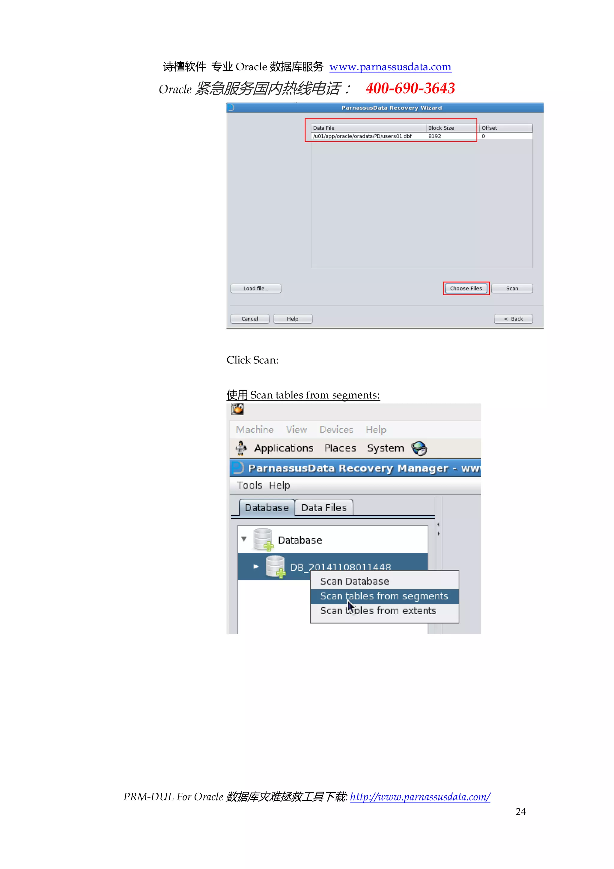 诗檀软件 专业 Oracle 数据库服务 www.parnassusdata.com 
Oracle 紧急服务国内热线电话： 400-690-3643 
PRM-DUL For Oracle 数据库灾难拯救工具下载: http://www.parnassusdata.com/ 
24 
Click Scan: 
使用Scan tables from segments: 
 