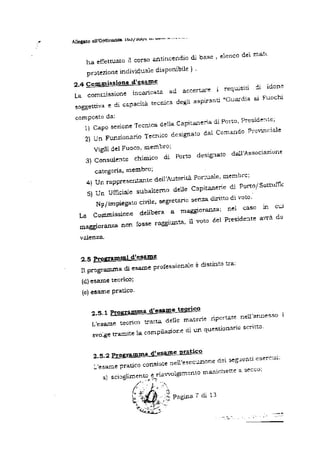 Ordinanza 163 del 2001