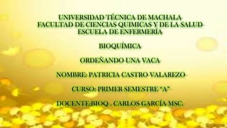UNIVERSIDAD TÉCNICA DE MACHALA
FACULTAD DE CIENCIAS QUIMICAS Y DE LA SALUD
ESCUELA DE ENFERMERÍA
BIOQUÍMICA
ORDEÑANDO UNA VACA
NOMBRE: PATRICIA CASTRO VALAREZO
CURSO: PRIMER SEMESTRE “A”
DOCENTE:BIOQ . CARLOS GARCÍA MSC.
 