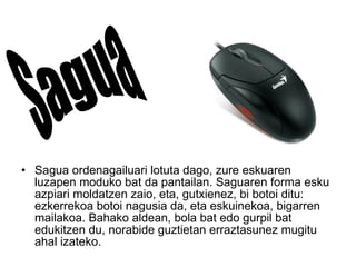 Sagua ordenagailuari lotuta dago, zure eskuaren luzapen moduko bat da pantailan. Saguaren forma esku azpiari moldatzen zaio, eta, gutxienez, bi botoi ditu: ezkerrekoa botoi nagusia da, eta eskuinekoa, bigarren mailakoa. Bahako aldean, bola bat edo gurpil bat edukitzen du, norabide guztietan erraztasunez mugitu ahal izateko. Sagua 