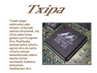 Txipek osagai elektroniko asko dituzte, zirkuituak osatzen dituztenak, eta silizio plaka baten gainean jarrita egoten dira. Plastikozko karkasa batez estalita egoten dira eta beste zirkuitu batzuei komunikatzeko aukera ematen dieten burdinazko hankatxo batzuetara konektatzen dira . Txipa 