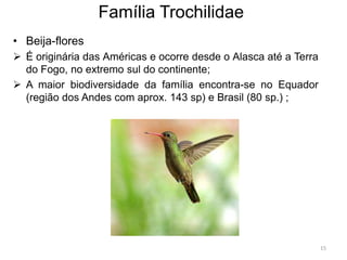 Família Trochilidae
• Beija-flores
 É originária das Américas e ocorre desde o Alasca até a Terra
  do Fogo, no extremo sul do continente;
 A maior biodiversidade da família encontra-se no Equador
  (região dos Andes com aprox. 143 sp) e Brasil (80 sp.) ;




                                                                  15
 