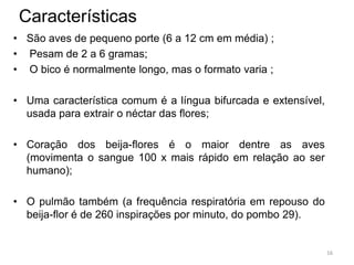 Características
• São aves de pequeno porte (6 a 12 cm em média) ;
• Pesam de 2 a 6 gramas;
• O bico é normalmente longo, mas o formato varia ;

• Uma característica comum é a língua bifurcada e extensível,
  usada para extrair o néctar das flores;

• Coração dos beija-flores é o maior dentre as aves
  (movimenta o sangue 100 x mais rápido em relação ao ser
  humano);

• O pulmão também (a frequência respiratória em repouso do
  beija-flor é de 260 inspirações por minuto, do pombo 29).


                                                                16
 