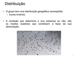 Distribuição
• O grupo tem uma distribuição geográfica cosmopolita;
   – Exceto Antártida

• A condição que determina a sua presença ou não, são
  os insetos voadores que constituem a base da sua
  alimentação.




                                                         4
 