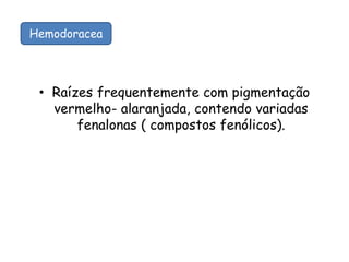 • Raízes frequentemente com pigmentação
vermelho- alaranjada, contendo variadas
fenalonas ( compostos fenólicos).
Hemodoracea
 
