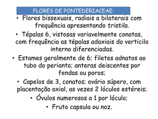 • Flores bissexuais, radiais a bilaterais com
frequência apresentando tristila.
• Tépalas 6, vistosas variavelmente conatas,
com frequência as tépalas adaxiais do verticilo
interno diferenciadas.
• Estames geralmente de 6; filetes adnatos ao
tubo do perianto; anteras deiscentes por
fendas ou poros;
• Capelos de 3, conatos; ovário súpero, com
placentação axial, as vezes 2 lóculos estéreis;
• Óvulos numerosos a 1 por lóculo;
• Fruto capsula ou noz.
FLORES DE PONTEDERIACEAE:
 