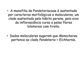 • A monofilia de Pondeteriaceae é sustentada
por caracteres morfológicos e moleculares, um
clado sustentado pelo hábito perene, pelo eixo
da inflorescência curso e pelas flores
bilaterais com tirsila.
• Dados moleculares sugerem que Monochorea
pertence ao clado Pondeteria + Eichhornia.
 