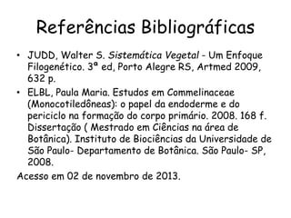 Referências Bibliográficas
• JUDD, Walter S. Sistemática Vegetal - Um Enfoque
Filogenético. 3ª ed, Porto Alegre RS, Artmed 2009,
632 p.
• ELBL, Paula Maria. Estudos em Commelinaceae
(Monocotiledôneas): o papel da endoderme e do
periciclo na formação do corpo primário. 2008. 168 f.
Dissertação ( Mestrado em Ciências na área de
Botânica). Instituto de Biociências da Universidade de
São Paulo- Departamento de Botânica. São Paulo- SP,
2008.
Acesso em 02 de novembro de 2013.
 