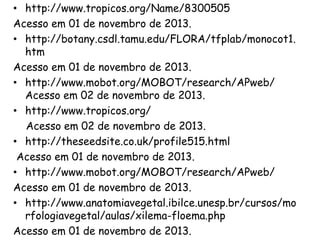 • http://www.tropicos.org/Name/8300505
Acesso em 01 de novembro de 2013.
• http://botany.csdl.tamu.edu/FLORA/tfplab/monocot1.
htm
Acesso em 01 de novembro de 2013.
• http://www.mobot.org/MOBOT/research/APweb/
Acesso em 02 de novembro de 2013.
• http://www.tropicos.org/
Acesso em 02 de novembro de 2013.
• http://theseedsite.co.uk/profile515.html
Acesso em 01 de novembro de 2013.
• http://www.mobot.org/MOBOT/research/APweb/
Acesso em 01 de novembro de 2013.
• http://www.anatomiavegetal.ibilce.unesp.br/cursos/mo
rfologiavegetal/aulas/xilema-floema.php
Acesso em 01 de novembro de 2013.
 
