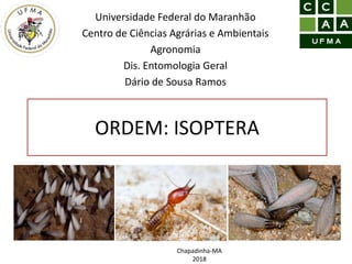 ORDEM: ISOPTERA
Universidade Federal do Maranhão
Centro de Ciências Agrárias e Ambientais
Agronomia
Dis. Entomologia Geral
Dário de Sousa Ramos
Chapadinha-MA
2018
 