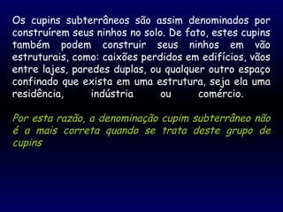 Os cupins subterrâneos são assim denominados por
construírem seus ninhos no solo. De fato, estes cupins
também podem construir seus ninhos em vão
estruturais, como: caixões perdidos em edifícios, vãos
entre lajes, paredes duplas, ou qualquer outro espaço
confinado que exista em uma estrutura, seja ela uma
residência, indústria ou comércio.
Por esta razão, a denominação cupim subterrâneo não
é a mais correta quando se trata deste grupo de
cupins
 